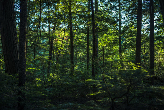 Diverting E-Waste For A Brighter Planet