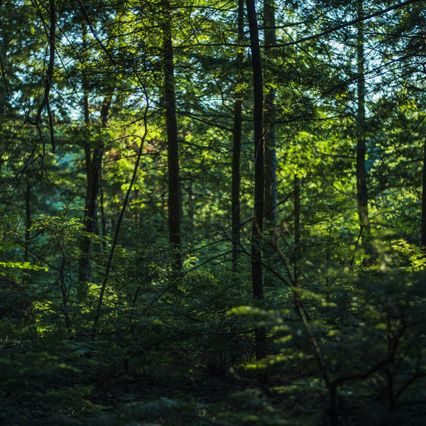 Diverting E-Waste For A Brighter Planet